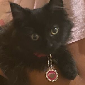 Meet your Posher, Rosalyn